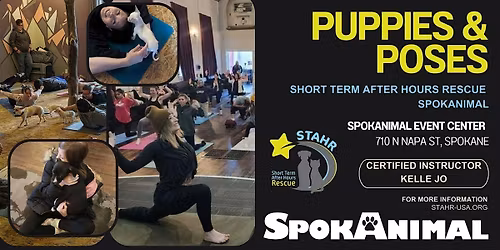 January Puppies & Poses