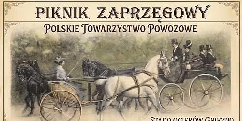 Piknik Zaprz\u0119gowy Polskiego Towarzystwa Powozowego w Gnie\u017anie