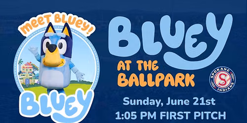 Bluey at the Ballpark & Father's Day Game