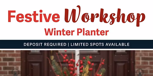 Festive Workshop | Winter Planter