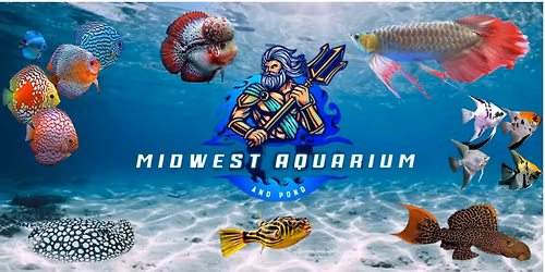 Live Q & A with A Fritz Representative!! 