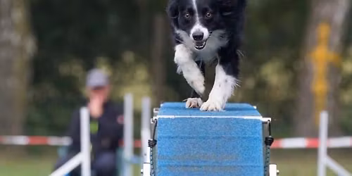 Agility Turnier vor dem DVM Quali-Turnier Region Hessen
