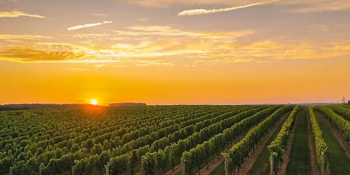 Wine Country Adult Skating Camp 2026