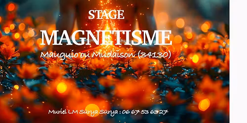 Stage Magn\u00e9tisme