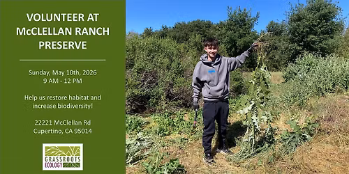 Nurture Nature: Volunteer Outside at McClellan Ranch Preserve