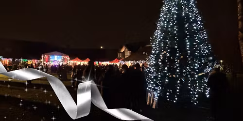 Light up a Life - Princess Alice Hospice, Esher