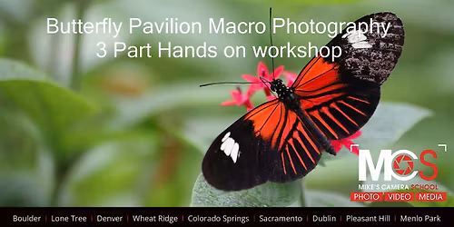 2026 Macro Photography at Butterfly Pavilion - 3 Part workshop