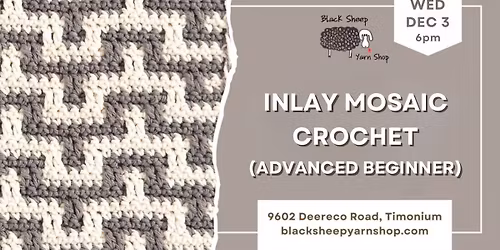 Inlay Mosaic Crochet (Advanced Beginner)