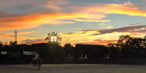 Noches de polo 