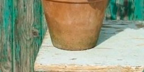 Geranium Painting Class at Farm Girl Finds