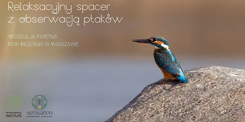 Relaksacyjny spacer z obserwacj\u0105 ptak\u00f3w