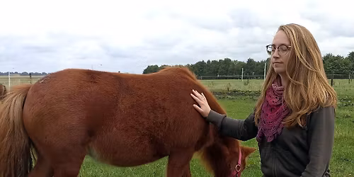 Heel jezelf! \u2013 magische workshop met paarden \u2728