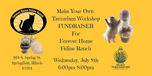 Make Your Own Terrarium Fundraiser for Forever Home Feline Ranch