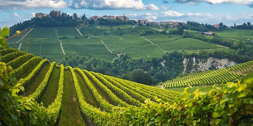 Intro to Italian Wines! @ Living Room Wines