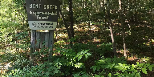 Bent Creek Experimental Forest Field Tour