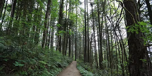 Hike With Hoyt