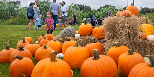 4Roots Harvest Festival