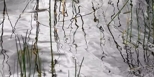 The Radiant Quality of Loving Kindness - a two-day retreat