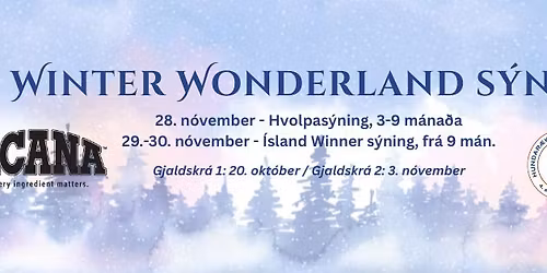 Winter Wonderland s\u00fdning HRF\u00cd 