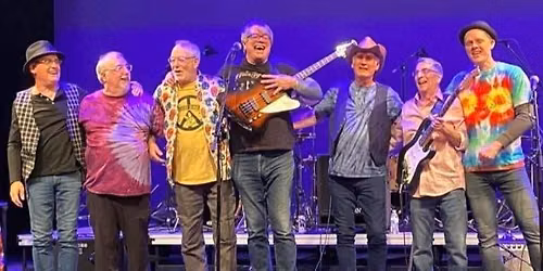 The Beakers Brothers Band