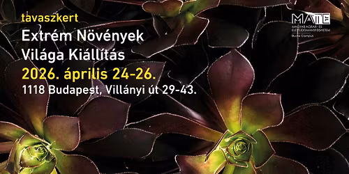 Extr\u00e9m N\u00f6v\u00e9nyek Vil\u00e1ga Ki\u00e1ll\u00edt\u00e1s 