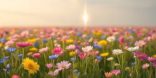 spiritual Wellness Centre Dunedin