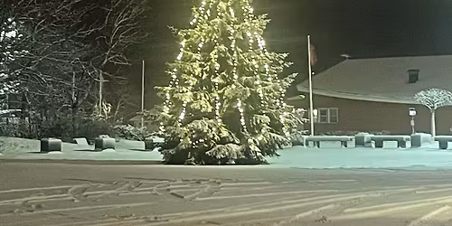 Julegrantenning i Tj\u00f8me sentrum