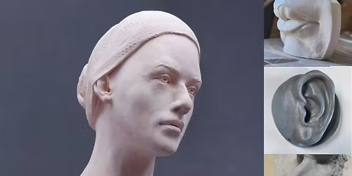 Formation \/ Principes essentiels de la sculpture faciale proportionnelle