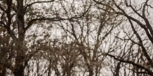 Conner & Lyndsey\u2019s Wedding \ud83d\udc92 