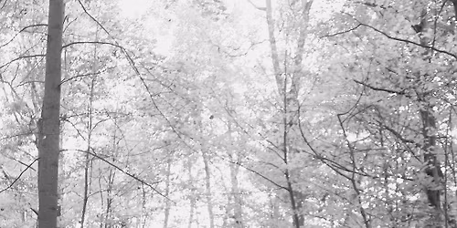 \ud83e\udd0dMaddison & Jeff\u2019s Stag and Doe\ud83e\udd0d