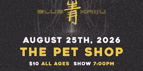 Soulmirror @ Petshop 