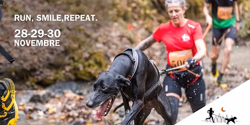 Carolo dog trophy (FCB 2025)