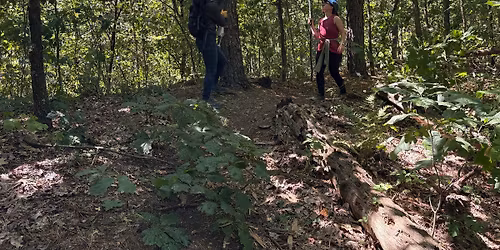 June Trail Work Weekend