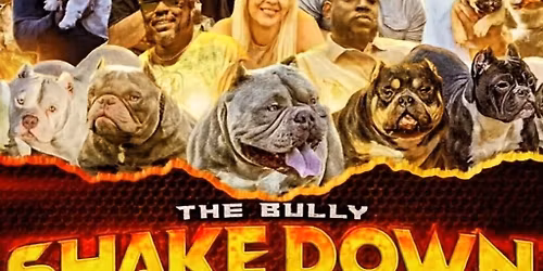 THE BULLY SHAKE DOWN