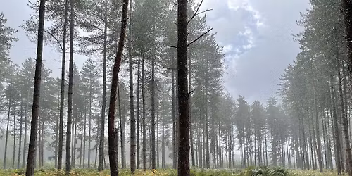 Suffolk Leaders Netwalking Event