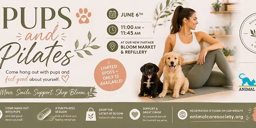 Pups and Pilates