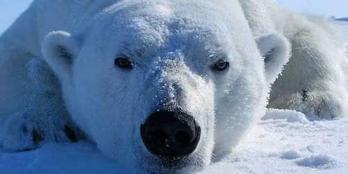 Wasilla to Airport Shuttle Rides