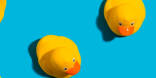 Duck Derby