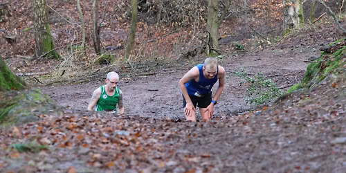 7 Sins & Immortal 2025