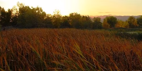All Levels Plein Air Painting\/Drawing Class with Kathleen Lanzoni