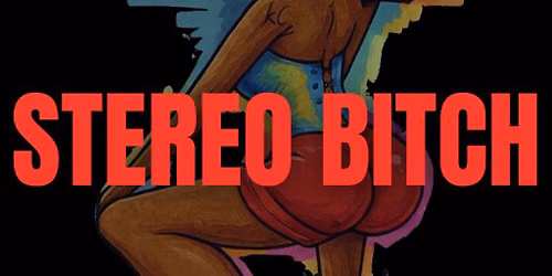 Stereo Bitch
