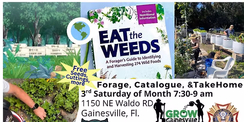 Wild Food Foraging at Veterans\u2019 & GG Garden May