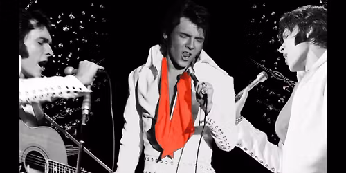 ELVIS: In Person - Starring Matt Stone