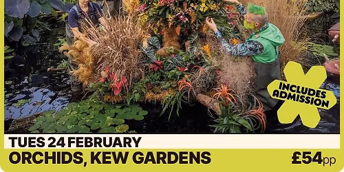 Orchids @ Kew Gardens