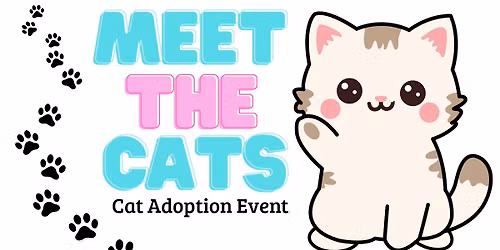Dallas Pets Alive Cat Adoption Day