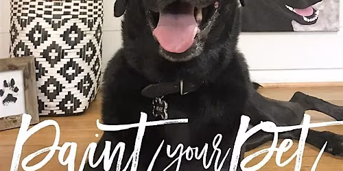 Paint Your Pet
