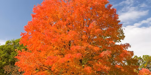 Out & About, Together at Hole Park