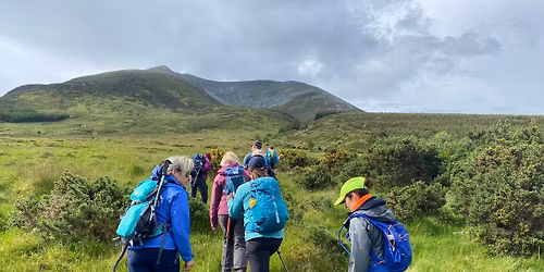 Nephin Mhor 806m Guided hike (Ireland's highest free standing mountain)