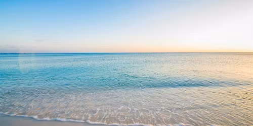 Exhibition Makers Workshop: Writing to Bloom