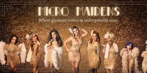  Fargo, ND - Micro Maidens Live Show @The Windbreak